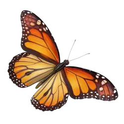 Imagen PNG para descargar